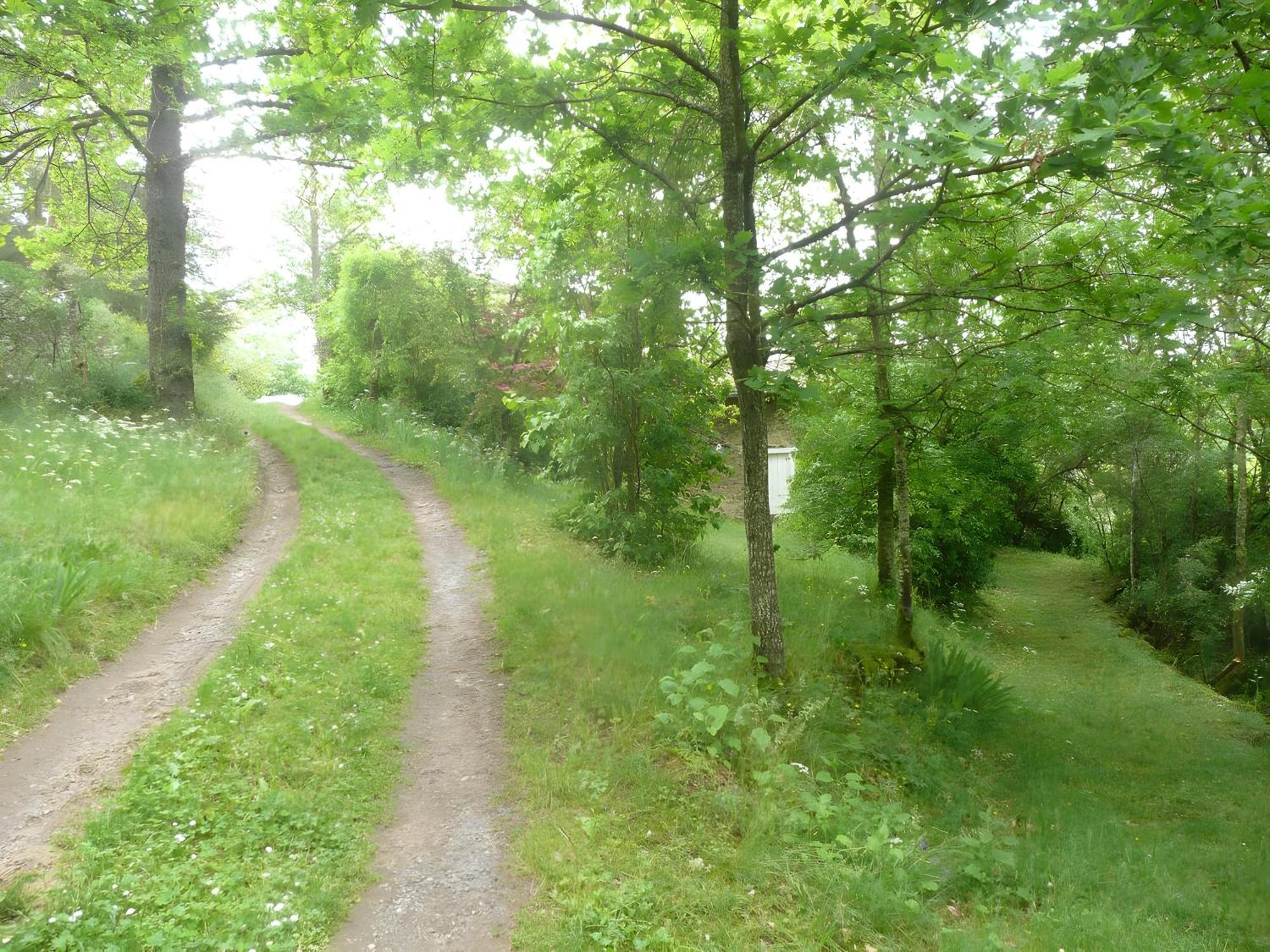 Gite La Grange De L'Effraie Villa Beauzac Buitenkant foto