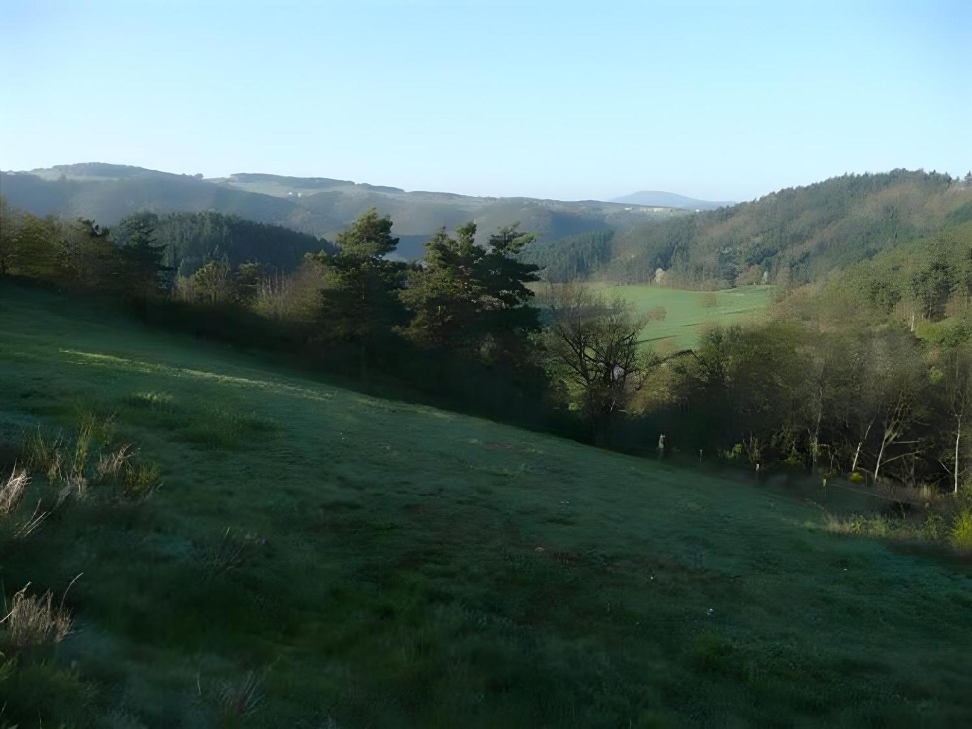 Gite La Grange De L'Effraie Villa Beauzac Buitenkant foto